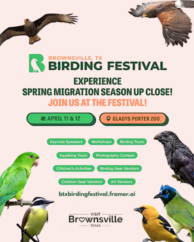 Brownsville Birding Festival April 11-12, 2026