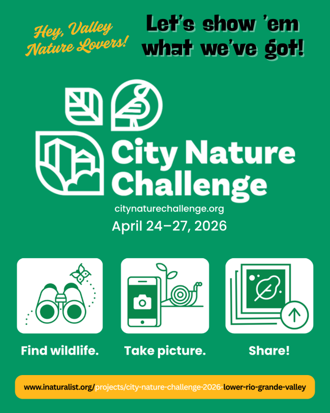 City Nature Challenge 2026