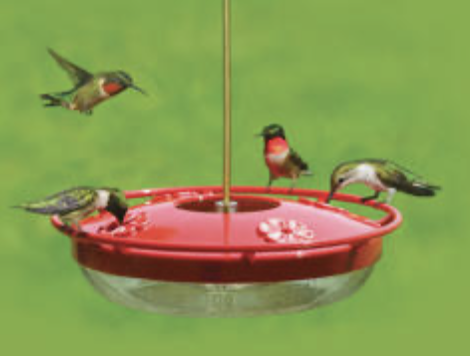 Wild Birds Unlimited High Perch Hummingbird Feeder