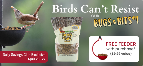 Free Feeder with Bugs & Bits Purchase for DSC members