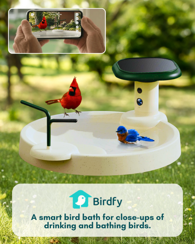 Birdfy Jolly O Smart Solar Bird Bath