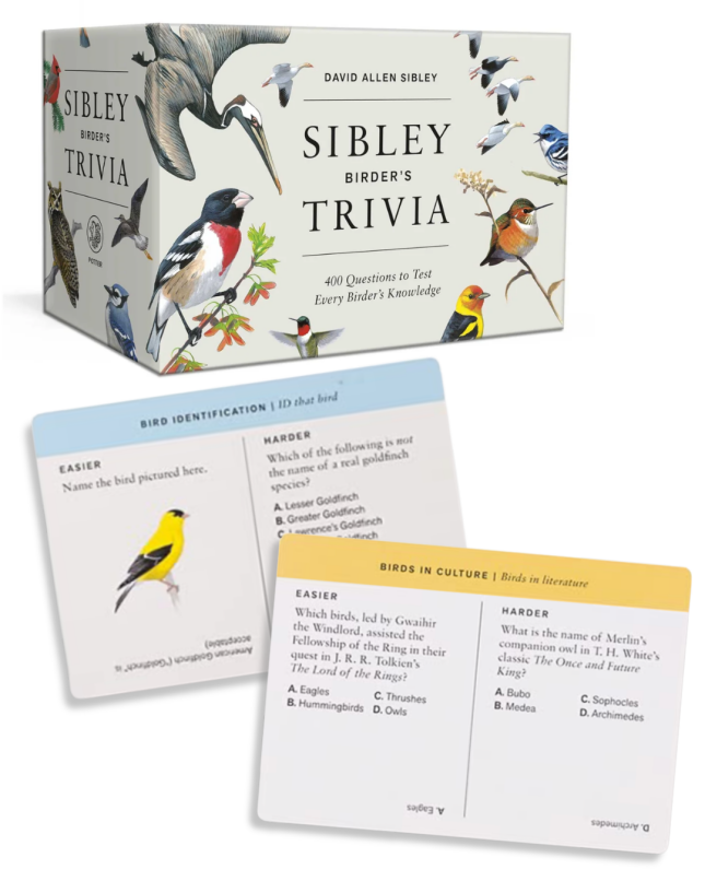 Sibley Birder's Trivia Game