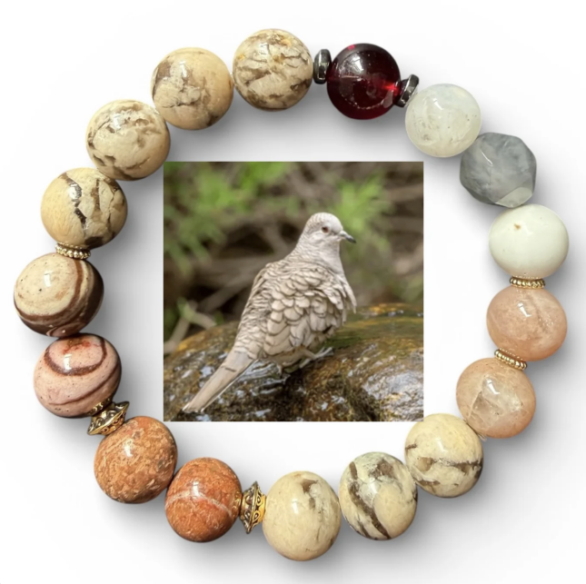EOS Bracelet Inca Dove