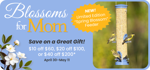 Mother's Day Promo 2026