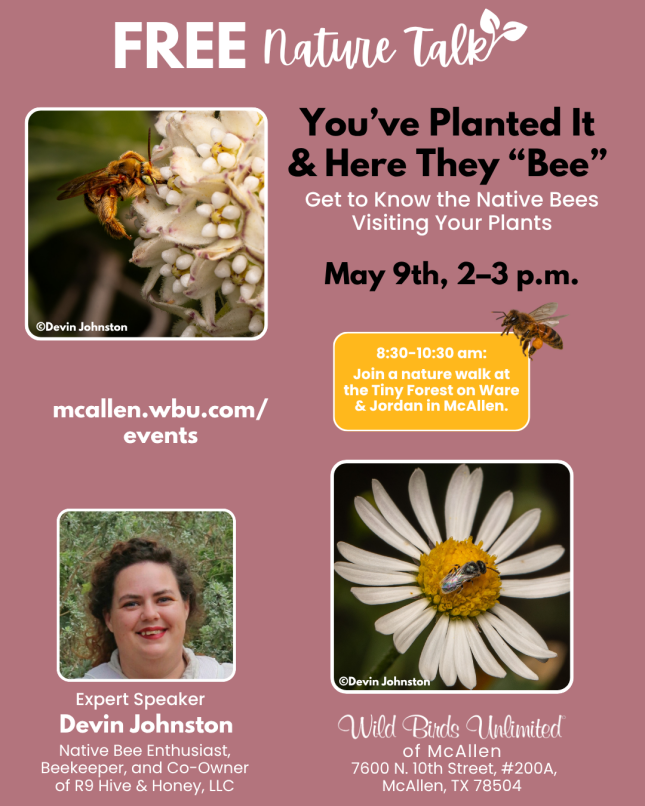 Free Talk: "You've Planted It & Here They 'Bee': Get to Know the Native Bees Visiting Your Plants" | In-Store | 2&ndash;3 pm., Saturday, May 9