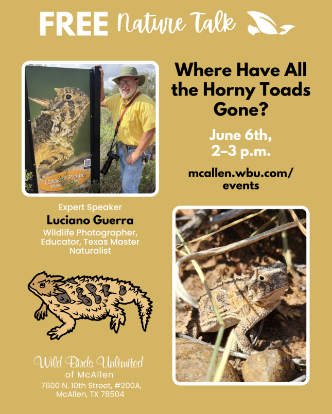 Free Talk: ""Where Have All the Horny Toads Gone?" | In-Store | 2&ndash;3 pm. June 6