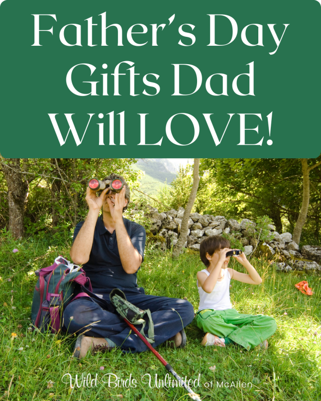 Father's Day 2026