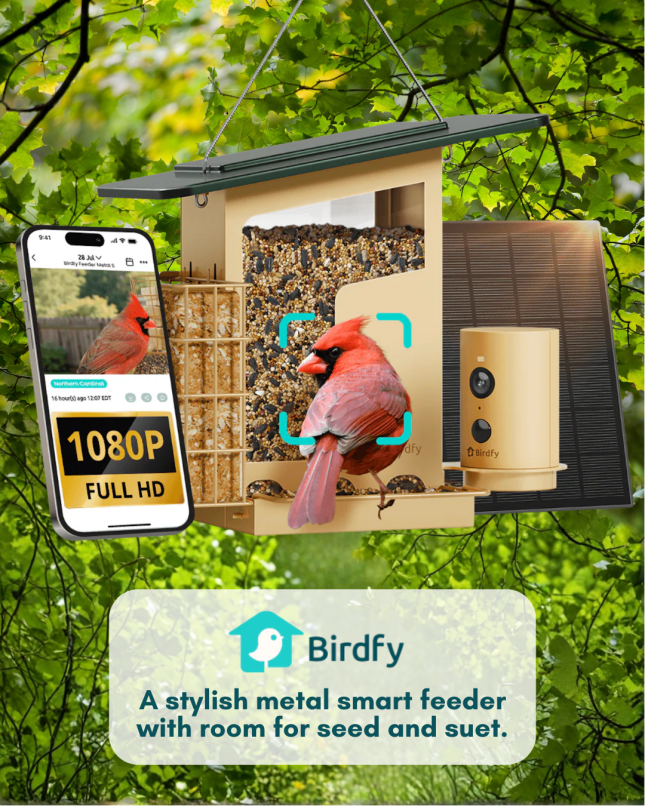 Birdfy Smart Metal Dual Seed/Suet Bird Feeder