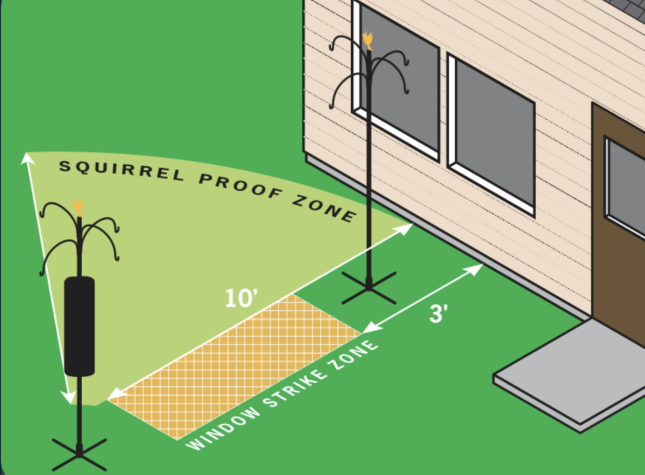 Illustration of the Window Strike Zone