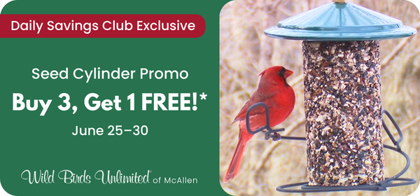 DSC Seed Cylinder Promo June 2026