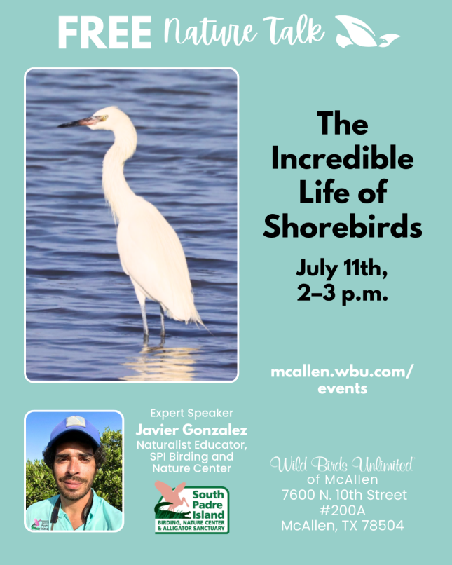 Free Talk: "The Incredible Life of Shorebirds" | In-Store | 2&ndash;3 pm. July 11