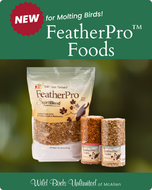 FeatherPro SuperBlend Bag and Cylinder
