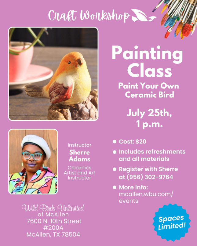 Painting Class: Paint Your Own Ceramic Bird | In-Store | 1 p.m. July 25