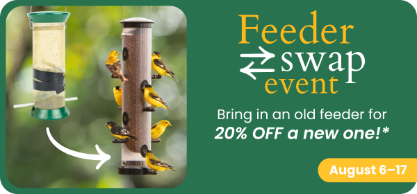 Feeder Swap August 7-17, 2026