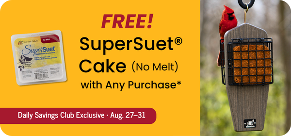 Free SuperSuet Cake for DSC Members August 27-31