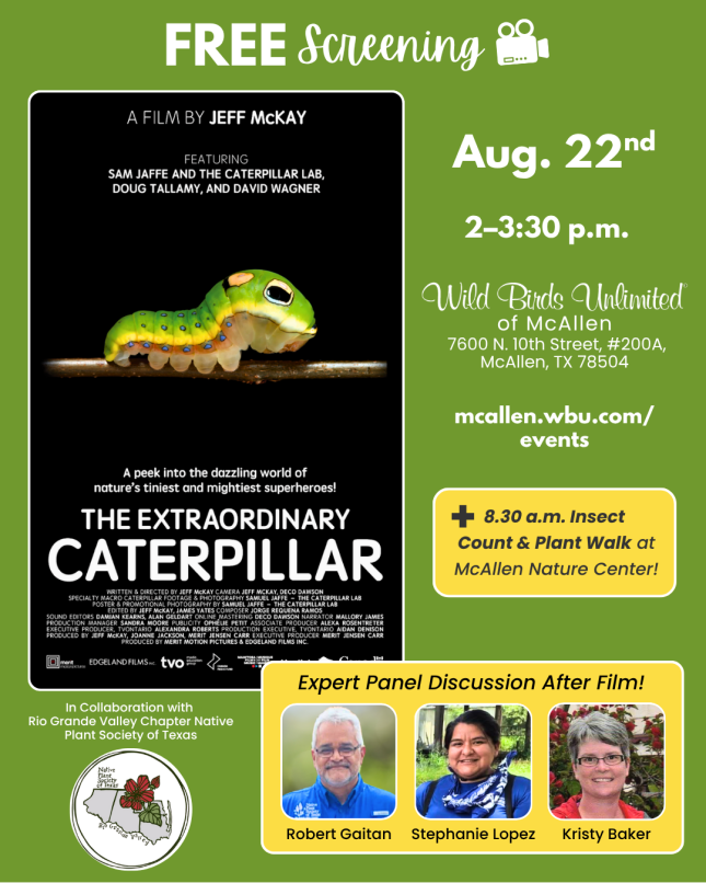 Free Film "The Extraordinary Caterpillar" | In-Store | 2–3:30 p.m. August 22