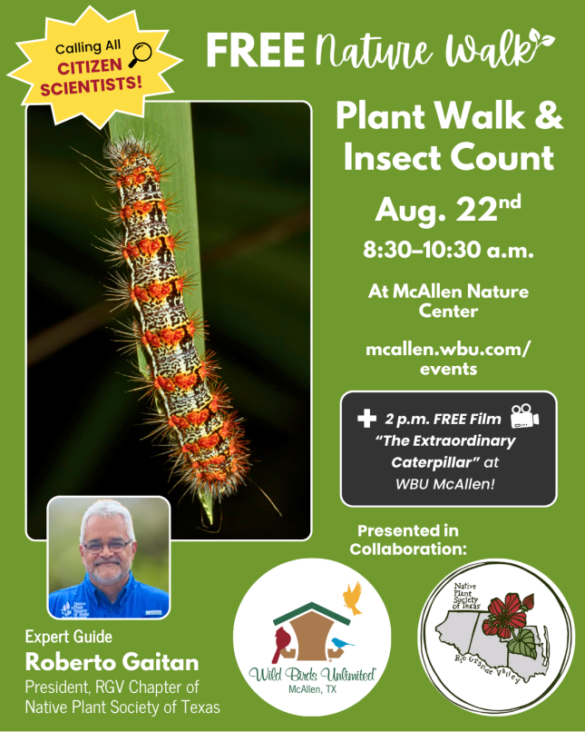 Free Plant Walk and Insect Count | McAllen, TX | 8:30 a.m. August 22