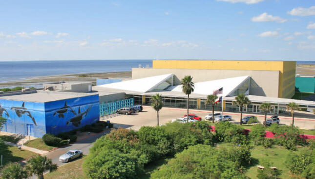 South Padre Island Convention Center Logo