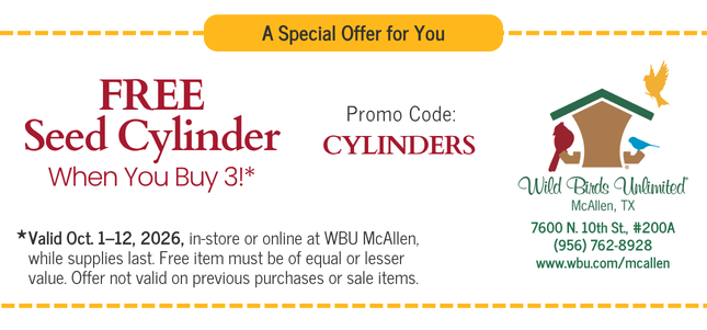 Cylinder Promo Coupon