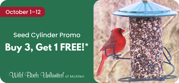 Cylinder Promo Banner