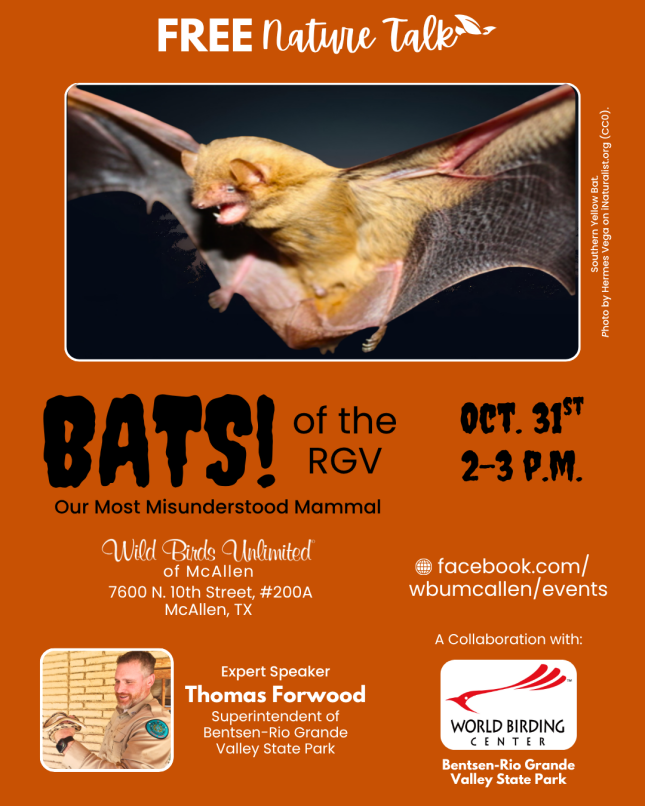 Free Talk: "Bats of the RGV: Our Most Misunderstood Mammal"