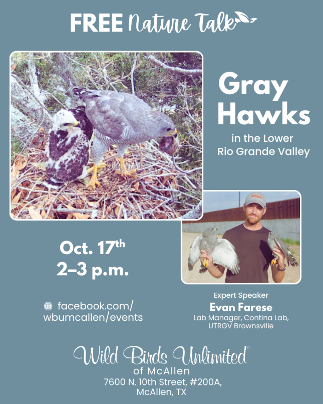 Free Talk: "Gray Hawks in the Lower RGV"  | In-Store | 2:00&ndash;3:00 p.m. 