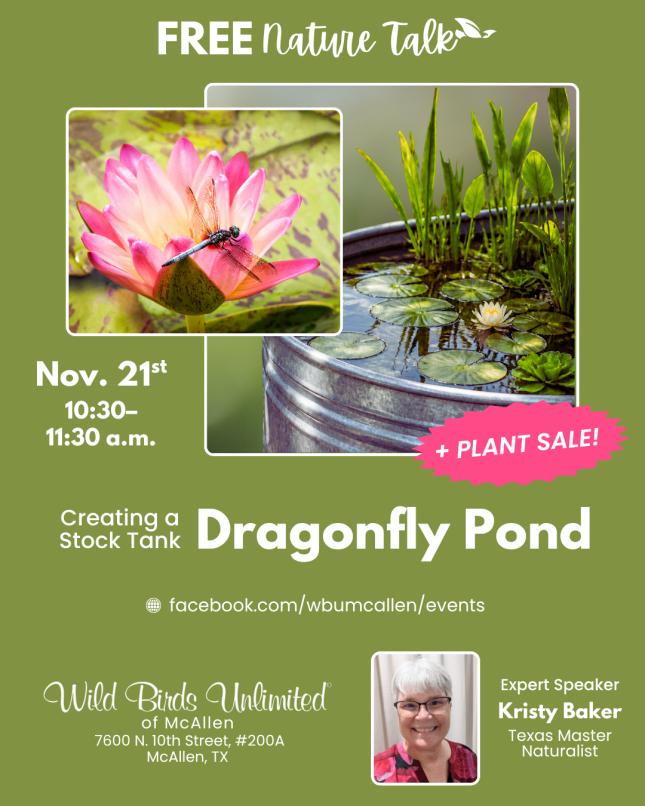 Free Talk: "Creating a Stock Tank Dragonfly Pond" | In-Store | 10:30-11:30 am Nov. 2026