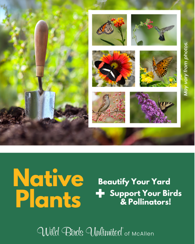 Native Plants Sales
